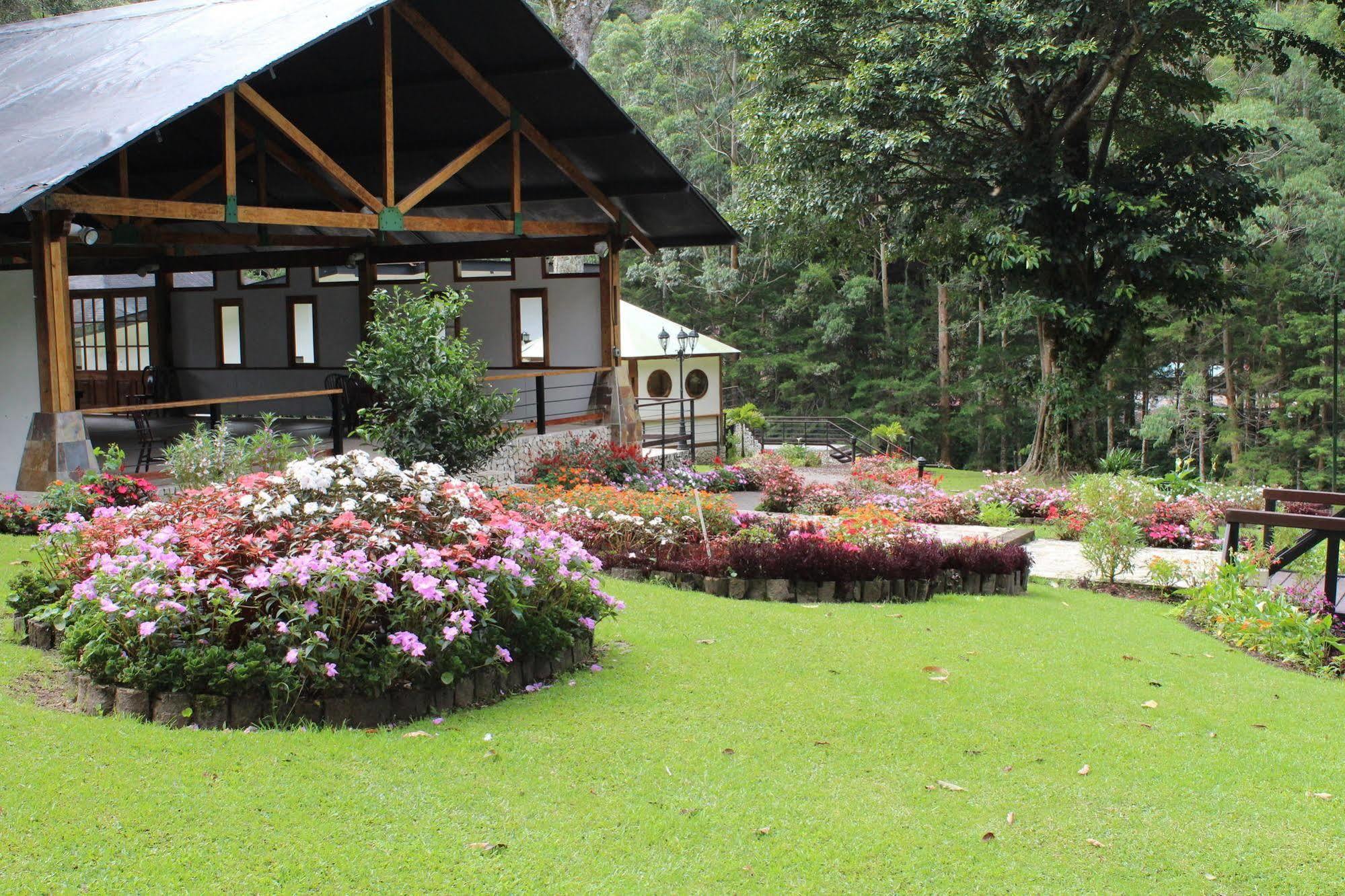 Casa Grande Bambito